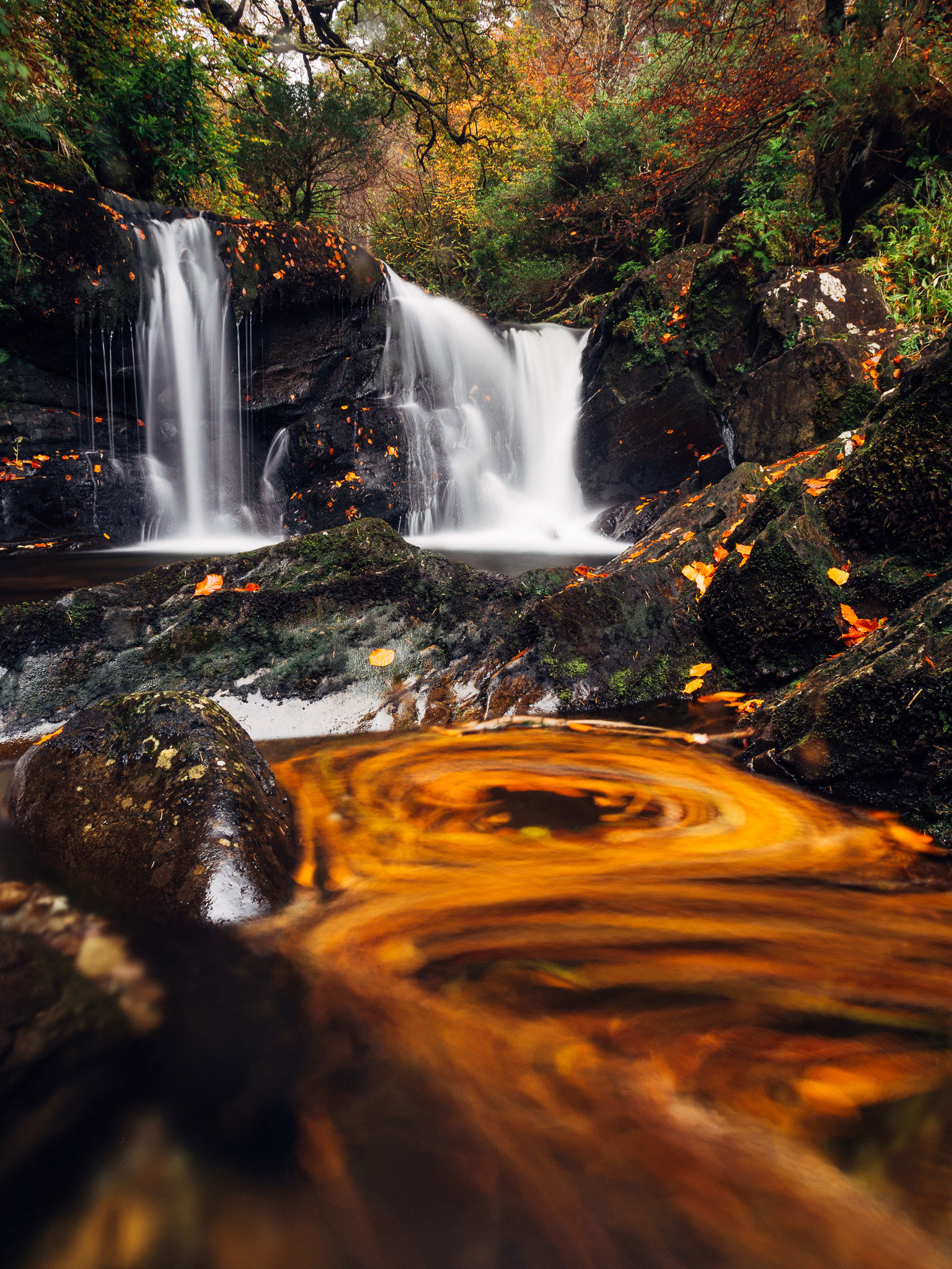 Torc Wasserfall im Killarney Nationalpark.