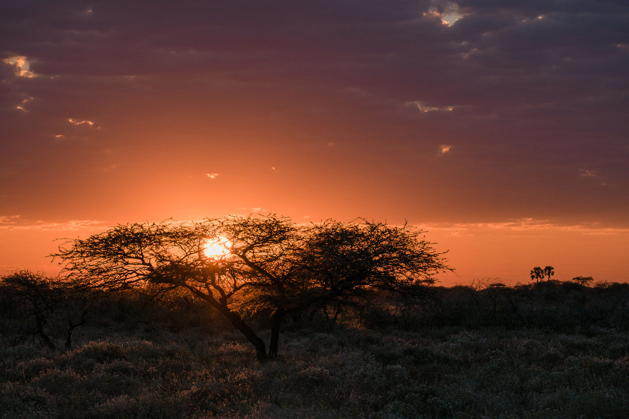 Sonnenaufgang im Onguma Game Reserve